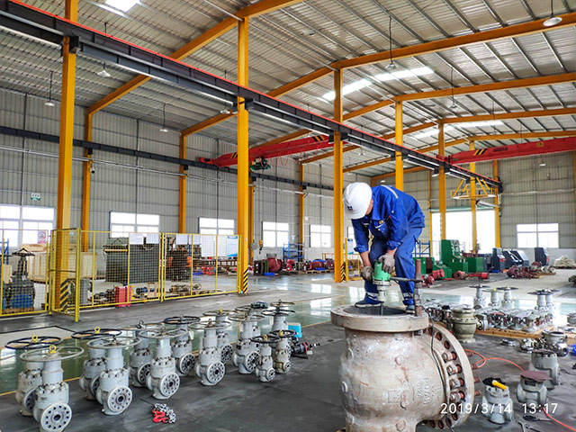 Valve Repair