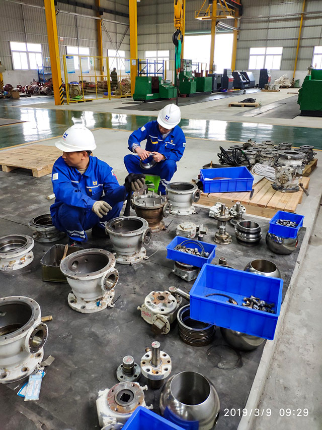 Valve Repair